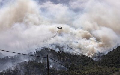 Πόσα δάση θα καούν ακόμη μέχρι να πάψουν οι καταστροφικές πυρκαγιές να αντιμετωπίζονται ως «ατυχία»;